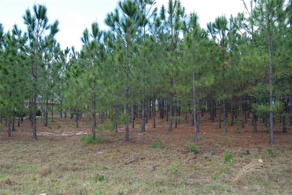 Active With Contract: $138,900 (1.06 acres)