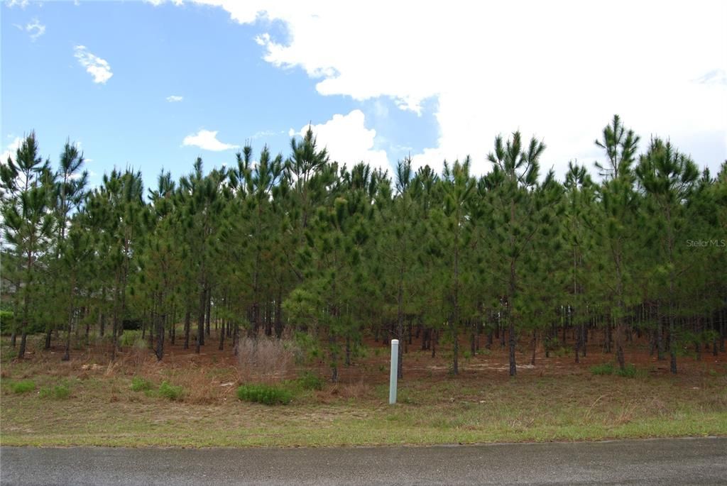 Activo con contrato: $138,900 (1.06 acres)