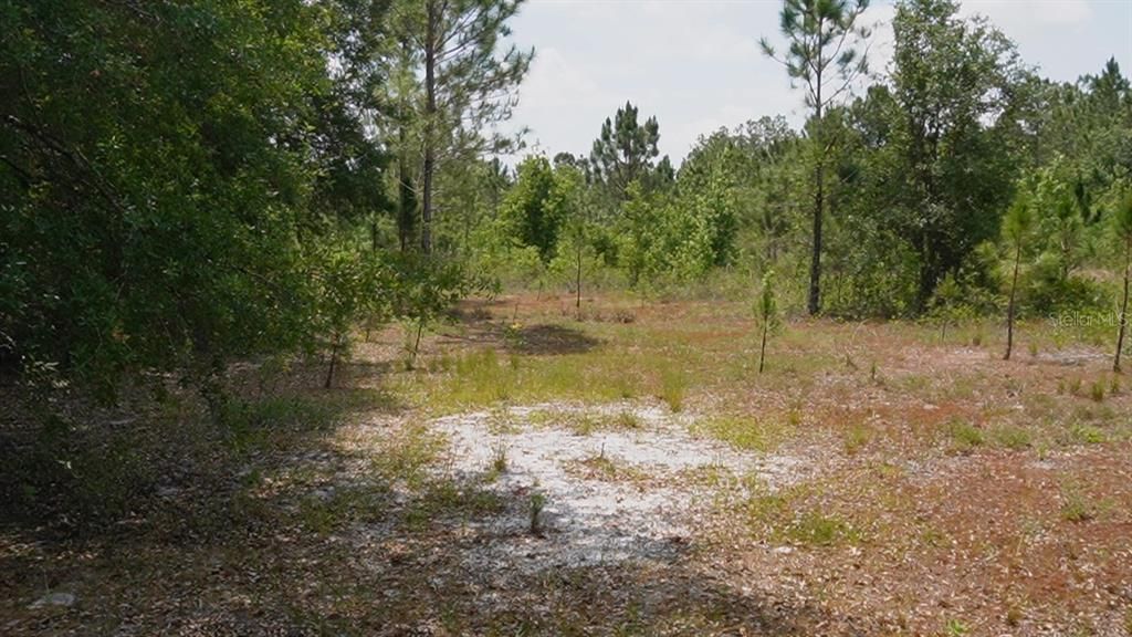 For Sale: $120,000 (5.03 acres)