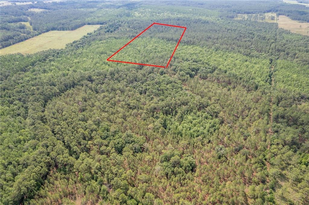 For Sale: $120,000 (5.03 acres)