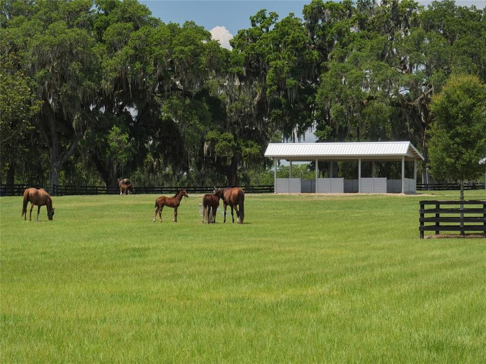 Vendido Recientemente: $5,750,000 (6 camas, 4 baños, 3051 Pies cuadrados)