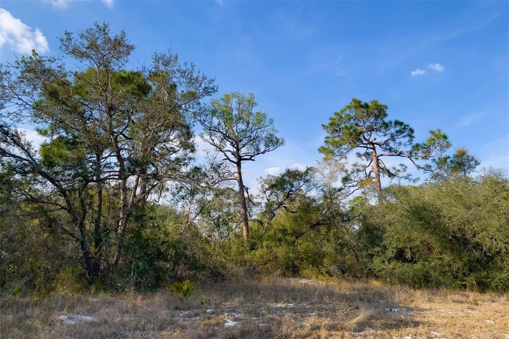 Recently Sold: $19,495 (0.46 acres)