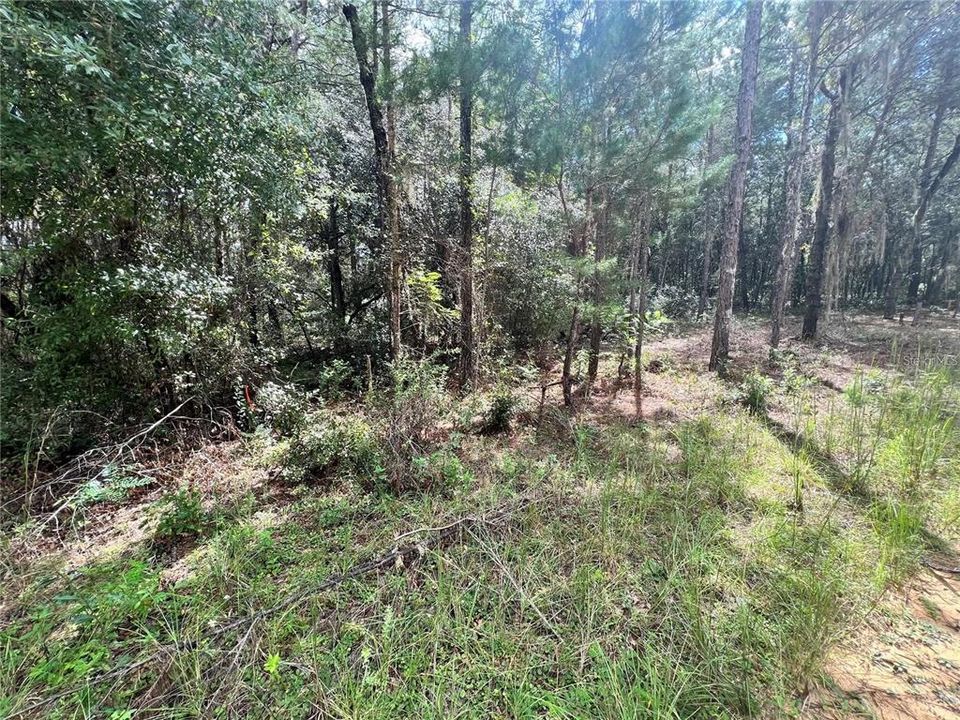 Recently Sold: $4,600 (0.22 acres)