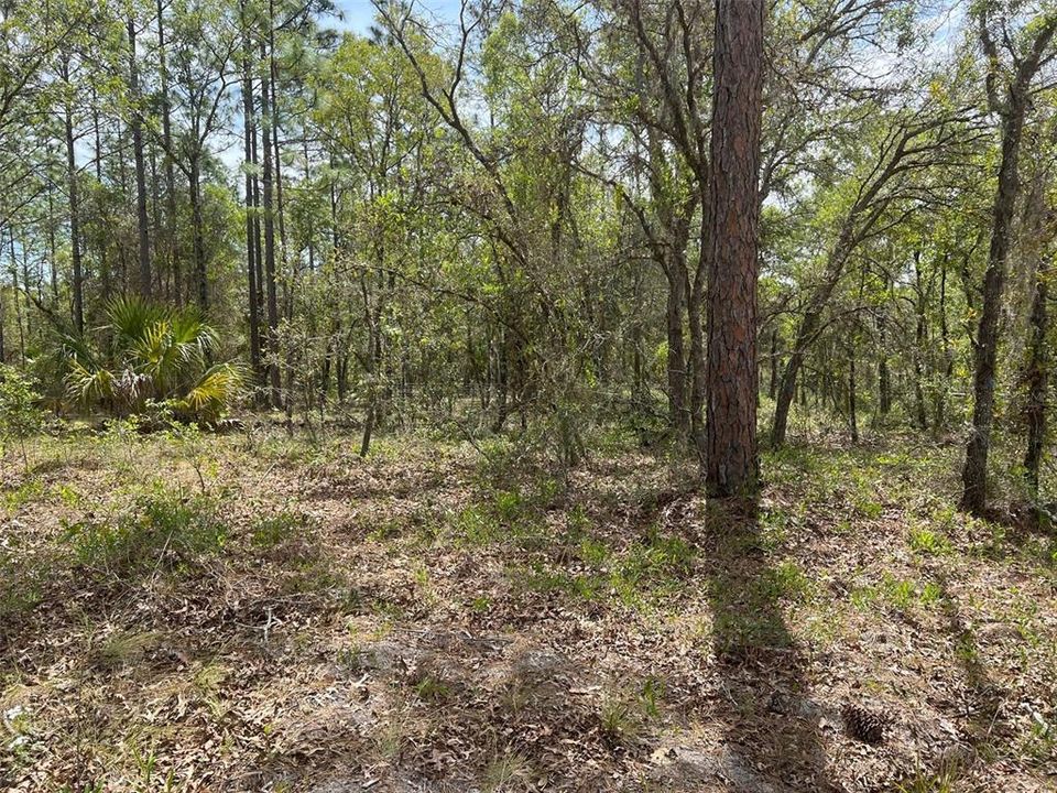 Recently Sold: $50,000 (1.00 acres)