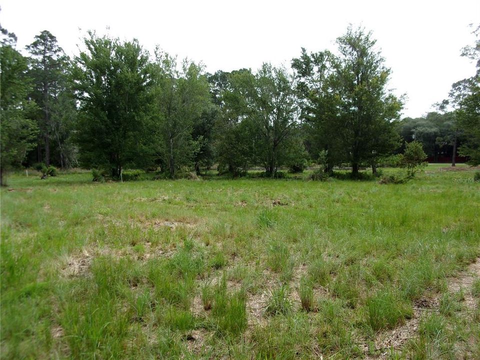 Recently Sold: $50,000 (2.93 acres)