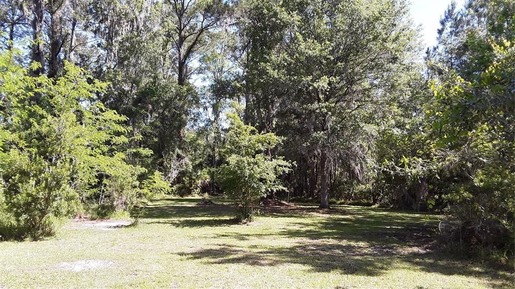 Recently Sold: $68,900 (1.24 acres)