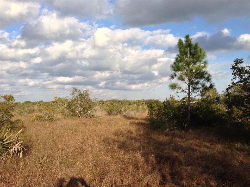 South side of property with view to north.