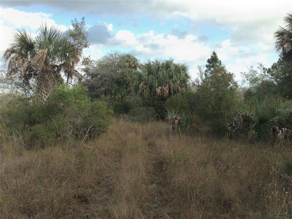 South side of property view.