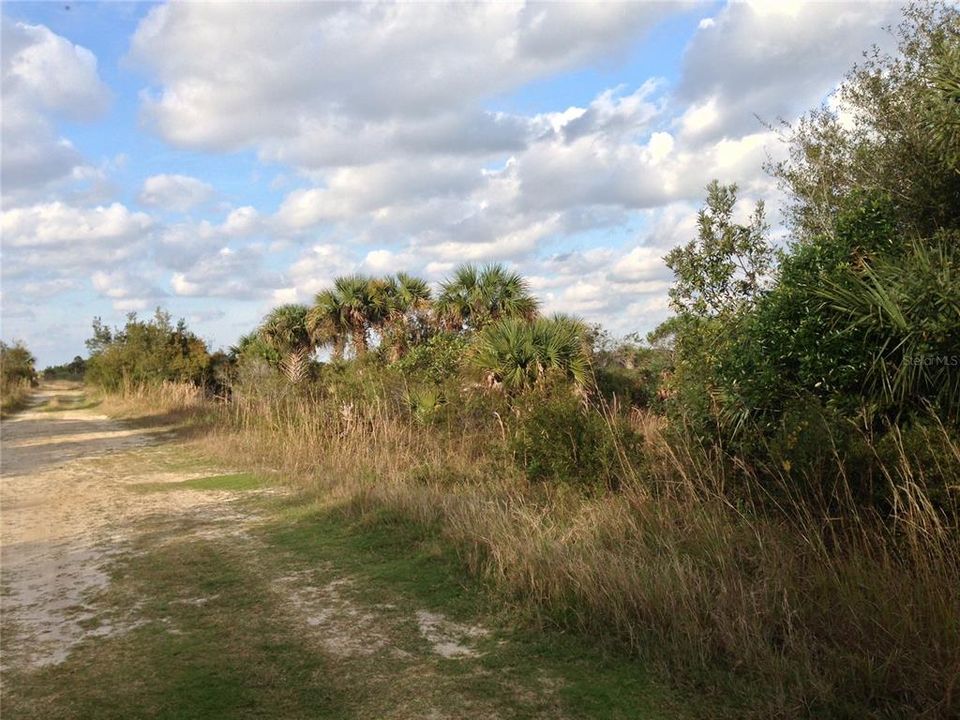 View North on roadfront.