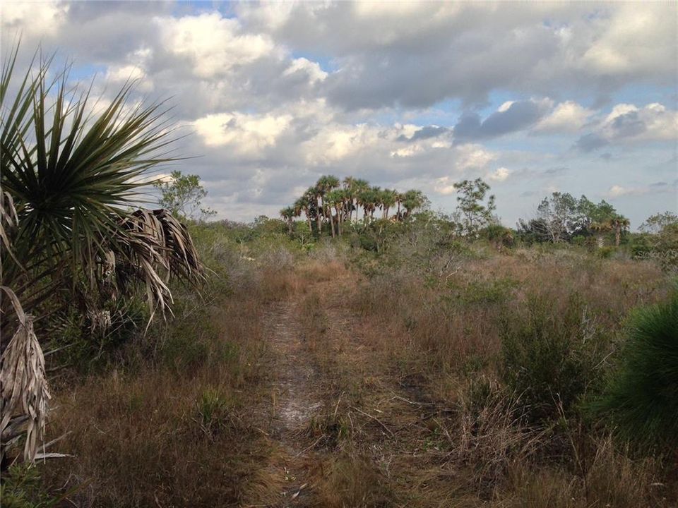 View east from near roadfront.