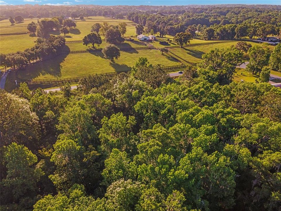 На продажу: $324,900 (9.13 acres)