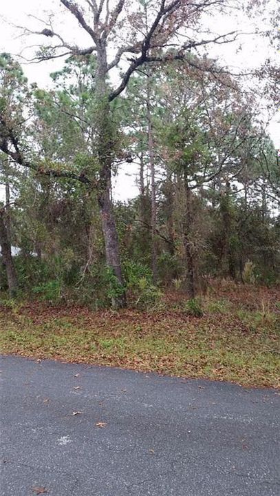 Recently Sold: $14,000 (0.51 acres)