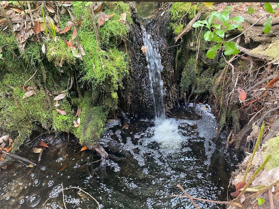 Spring Fed Waterfall