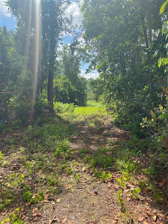 Natural Bridge at Northside of Property