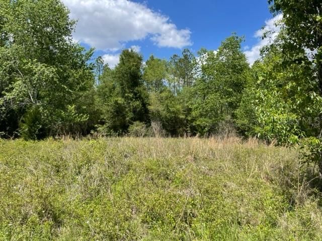 Recently Sold: $149,000 (7.19 acres)