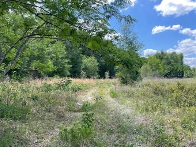 Recently Sold: $149,000 (7.19 acres)