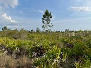 На продажу: $245,000 (10.00 acres)