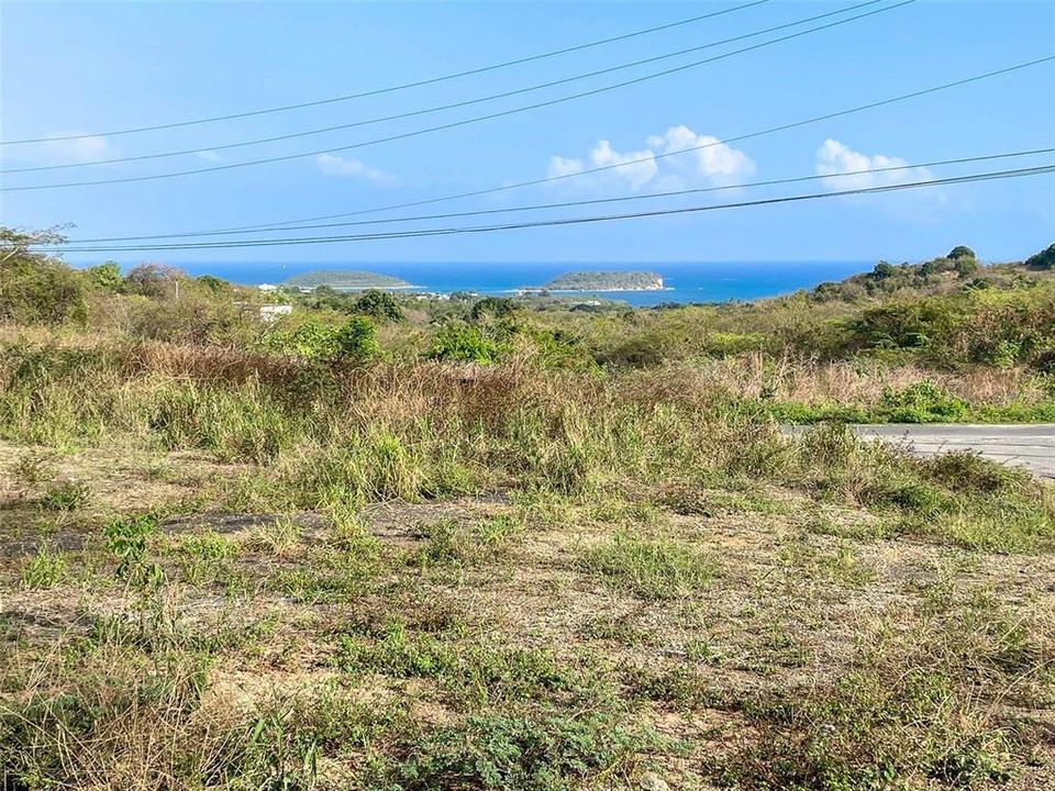 最近售出: $225,000 (0.35 acres)