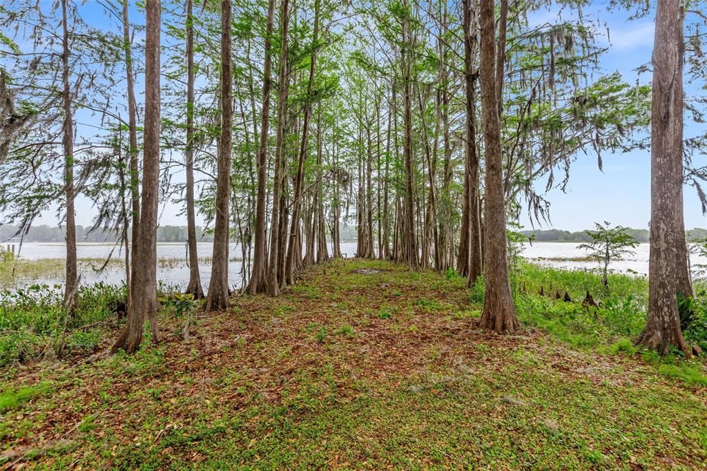 Back yard with view of the lake