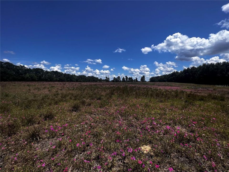 Недавно продано: $150,000 (10.00 acres)