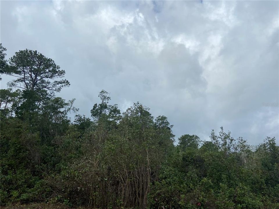 En Venta: $55,900 (0.68 acres)