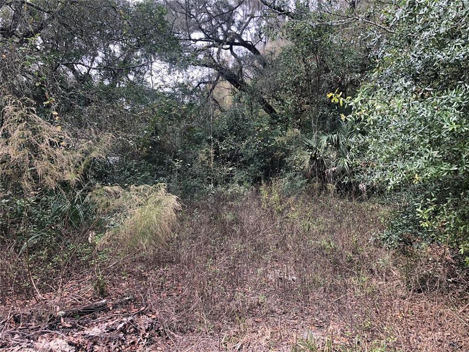 Recently Sold: $8,000 (7.73 acres)