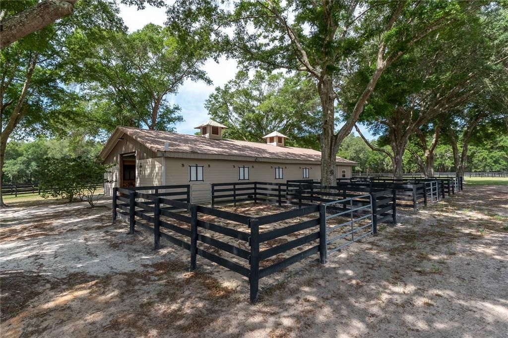 Barn Paddocks