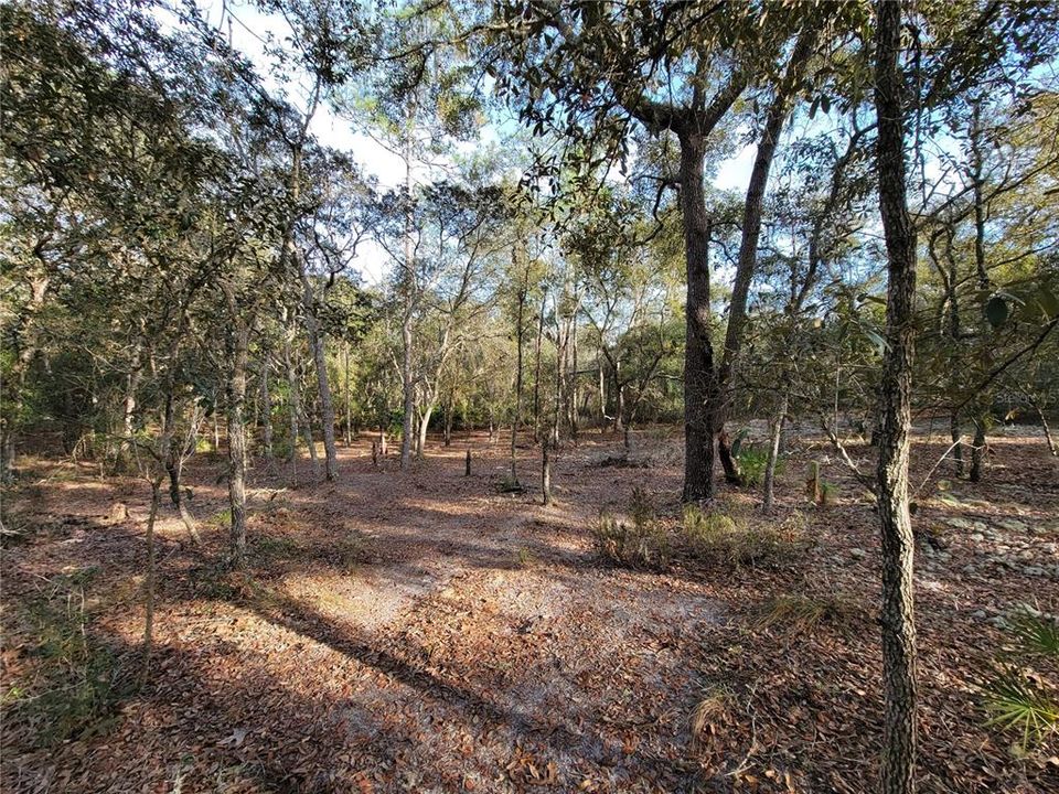 Recently Sold: $80,000 (8.38 acres)