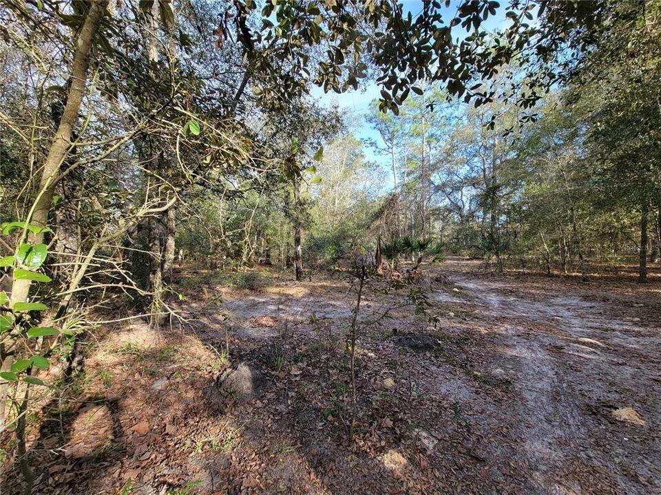 Recently Sold: $80,000 (8.38 acres)