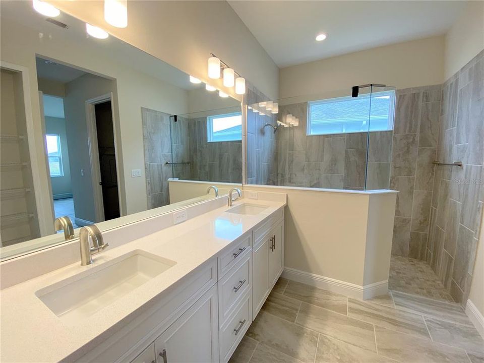 Large walk-in shower, upgraded lighting