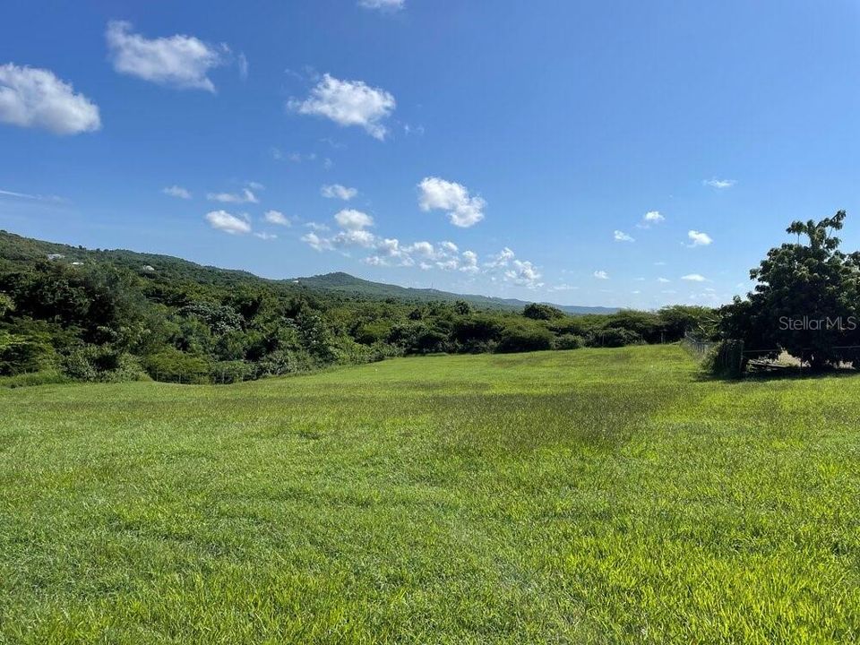 For Sale: $865,000 (5 beds, 3 baths, 0 Square Feet)