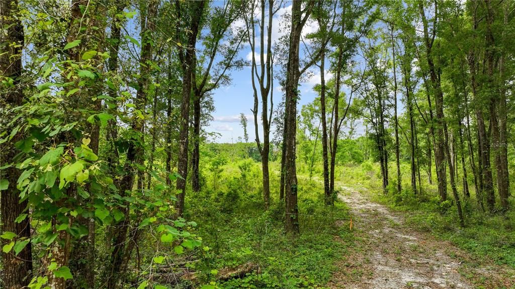 Recently Sold: $115,000 (8.30 acres)
