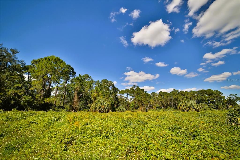 На продажу: $1,000,000 (34.18 acres)