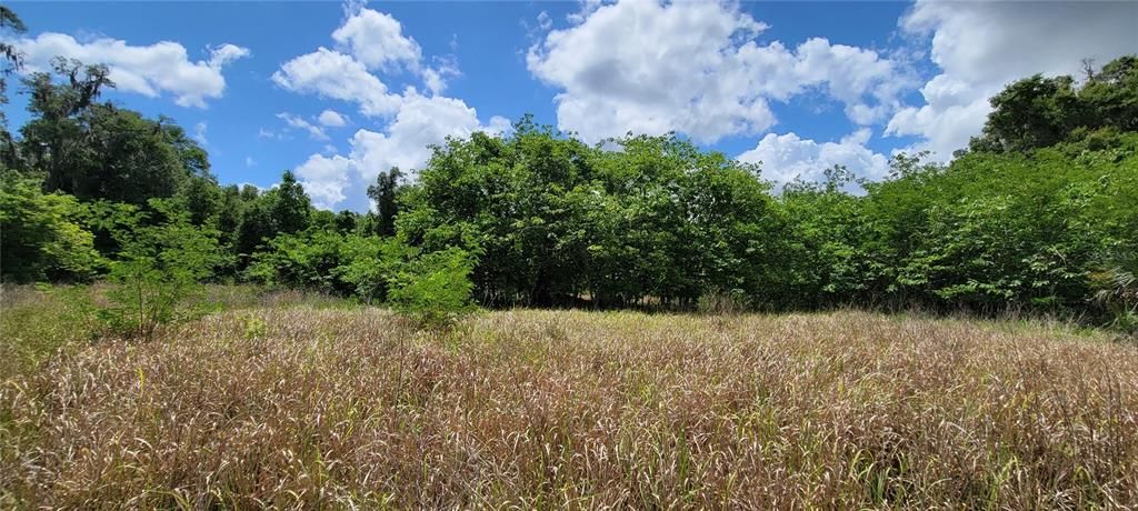 Recently Sold: $449,320 (9.56 acres)
