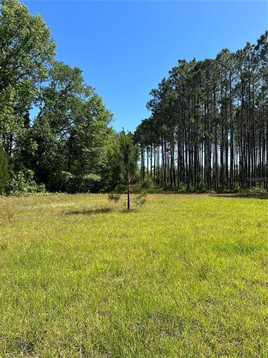 Recently Sold: $130,000 (10.03 acres)
