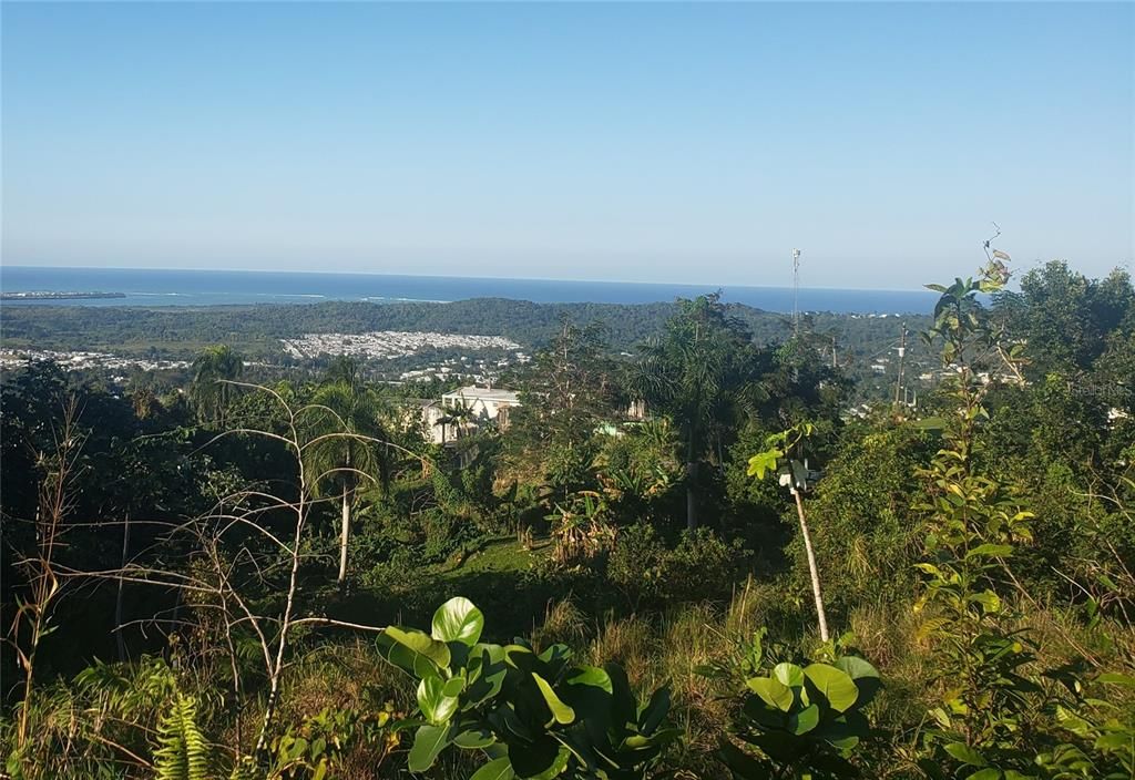 Vendido Recientemente: $70,000 (0.98 acres)