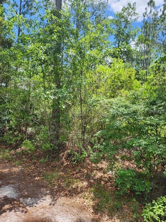 Recently Sold: $28,000 (1.23 acres)