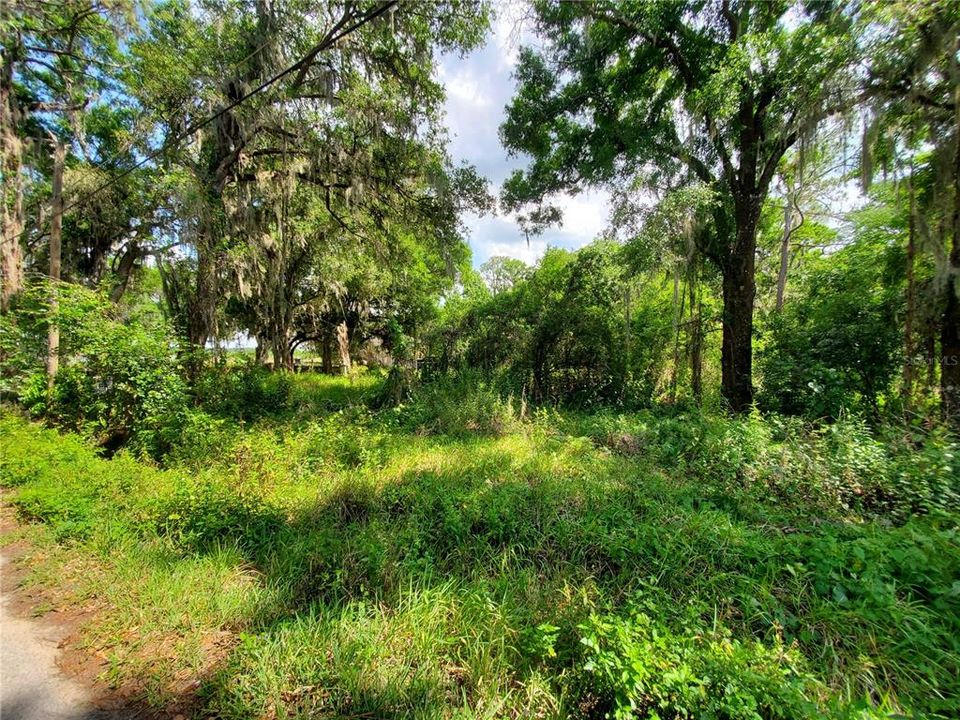 Recently Sold: $32,000 (1.50 acres)