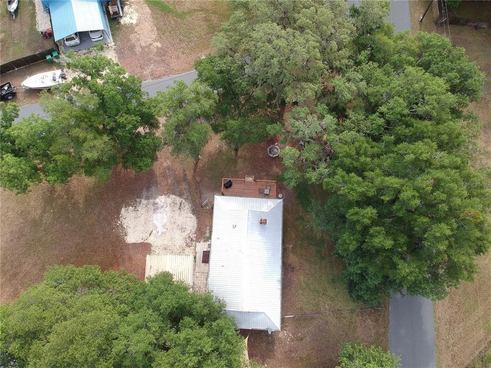 Mature landscaping, metal roof