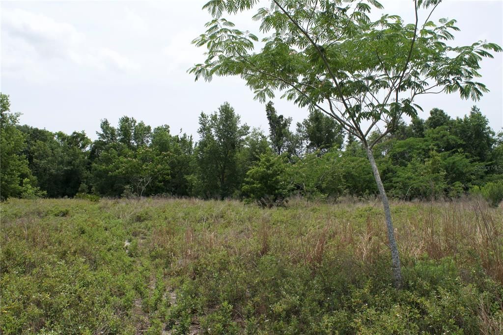 Недавно продано: $110,000 (10.01 acres)