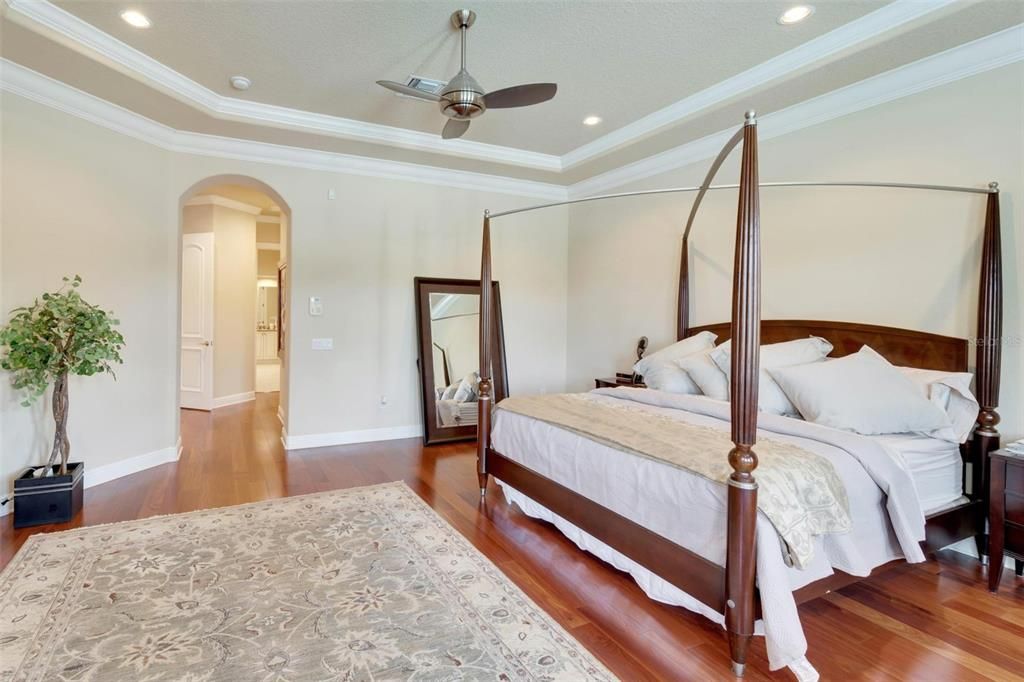 Master bedroom with tray ceiling & wood floor