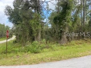 Active With Contract: $32,900 (0.99 acres)