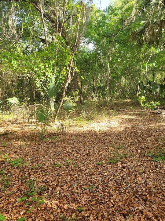 Recently Sold: $119,000 (10.00 acres)
