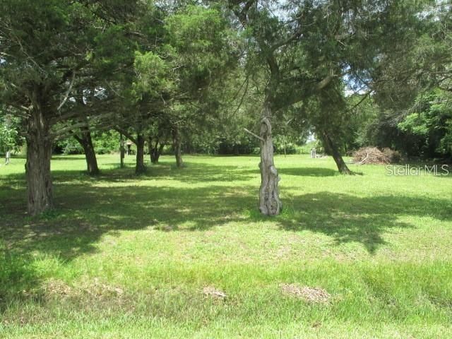 Little under 1/2 acre Lot