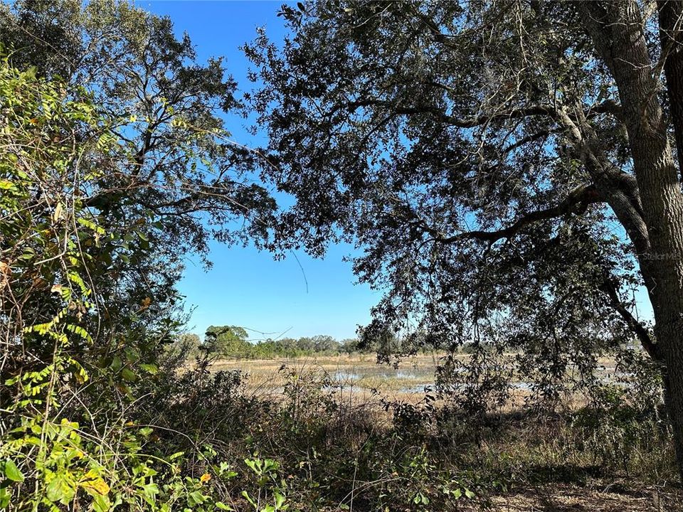 Recently Sold: $399,000 (38.95 acres)