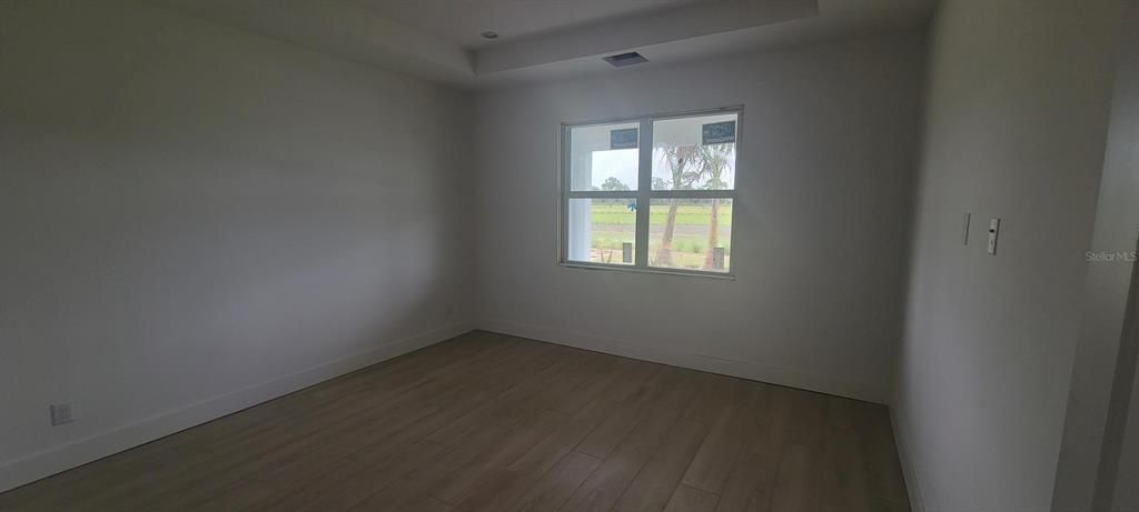 Primary bedroom with tray ceiling