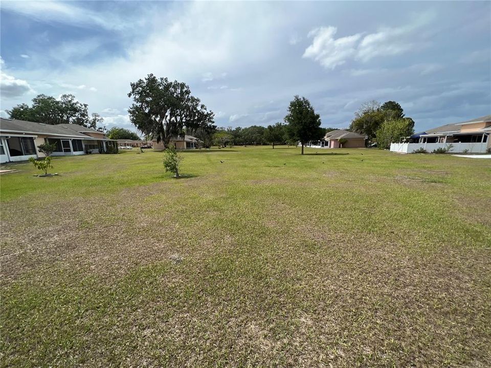 view of backyard