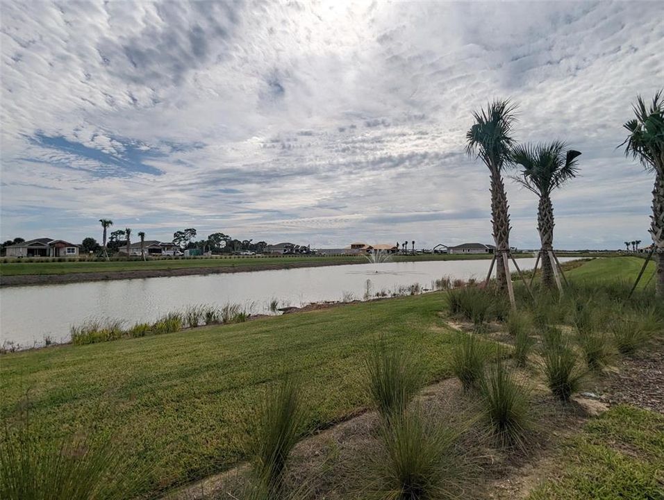 View of interior pond