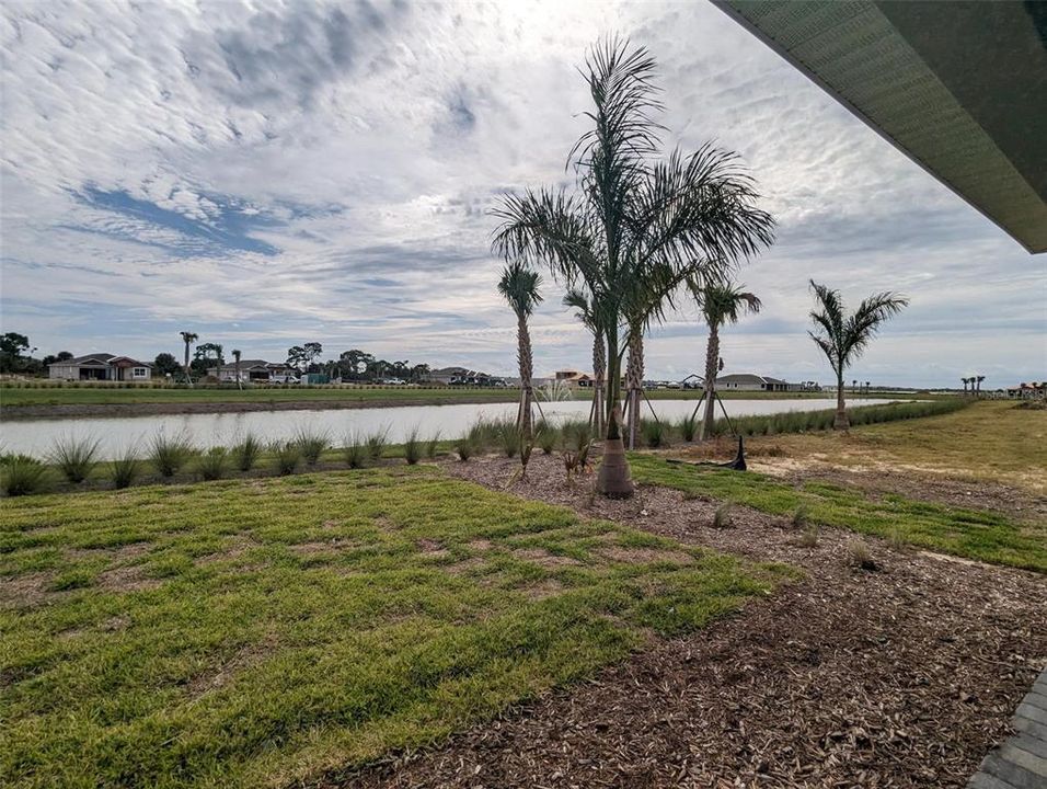 View of interior pond