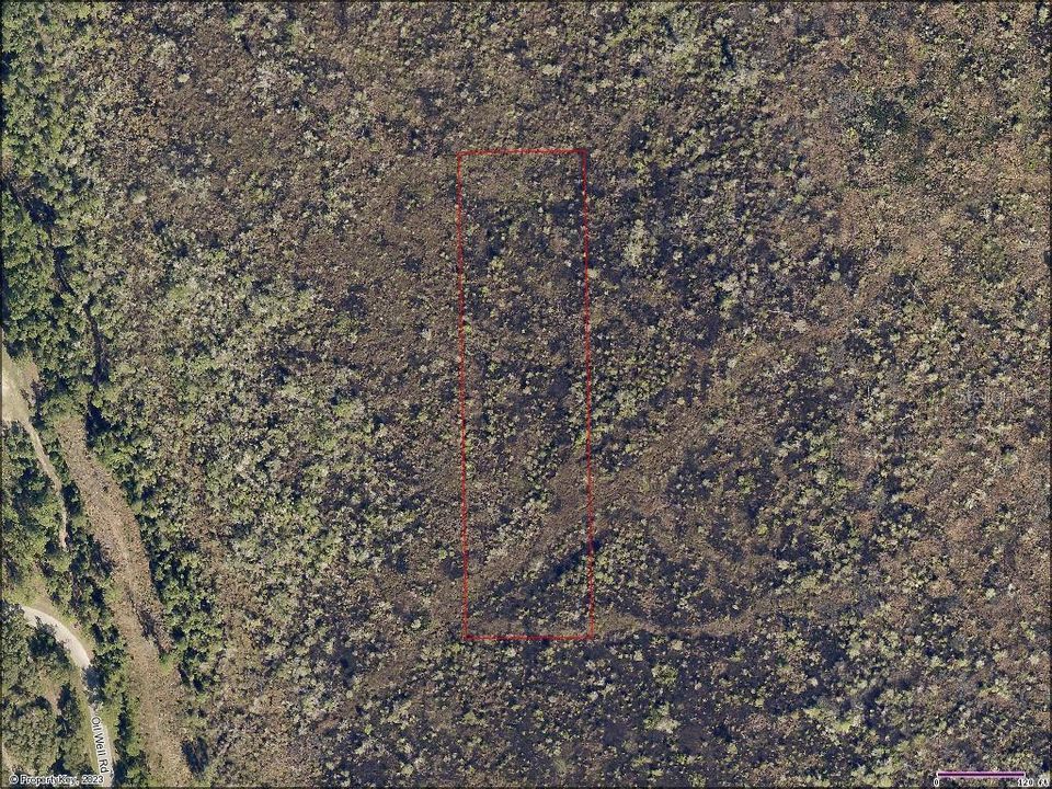 Недавно продано: $9,000 (2.50 acres)